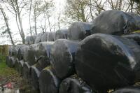 25 BALES OF SILAGE(BIDS PER BALE) - 2