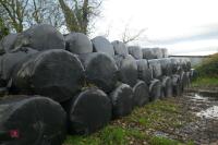 25 BALES OF SILAGE(BIDS PER BALE) - 4