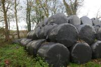 25 BALES OF SILAGE(BIDS PER BALE) - 5