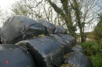 25 BALES OF SILAGE(BIDS PER BALE) - 5