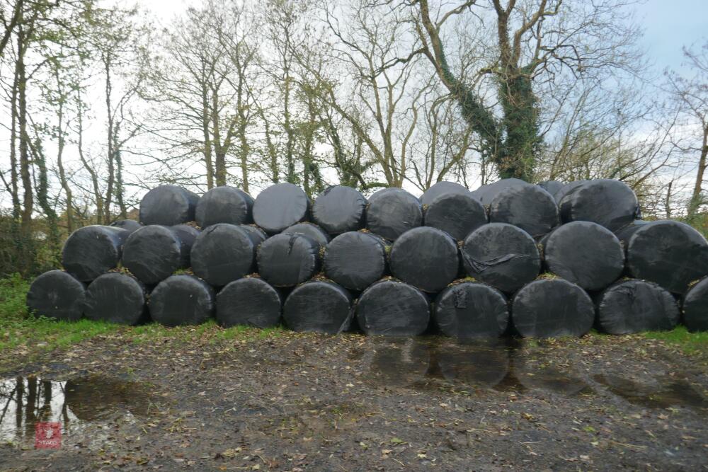 25 BALES OF SILAGE(BIDS PER BALE)