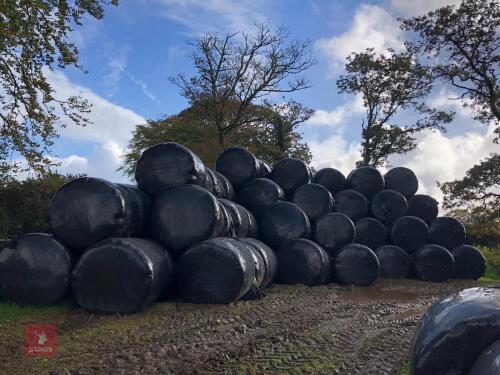 260 ROUND BALES OF HAYLAGE(BIDS PER BALE)