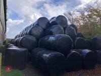 260 ROUND BALES OF HAYLAGE(BIDS PER BALE) - 2