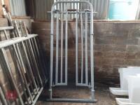 CATTLE RACE EQUIPMENT - 2