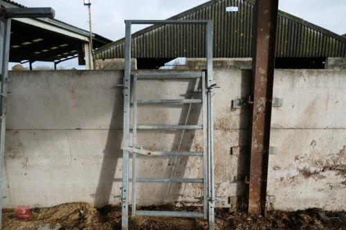 IAE 840MM GALVANISED RACE GATE