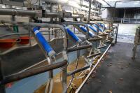 BOUMATIC ADF SYSTEM SWINGOVER PARLOUR - 5