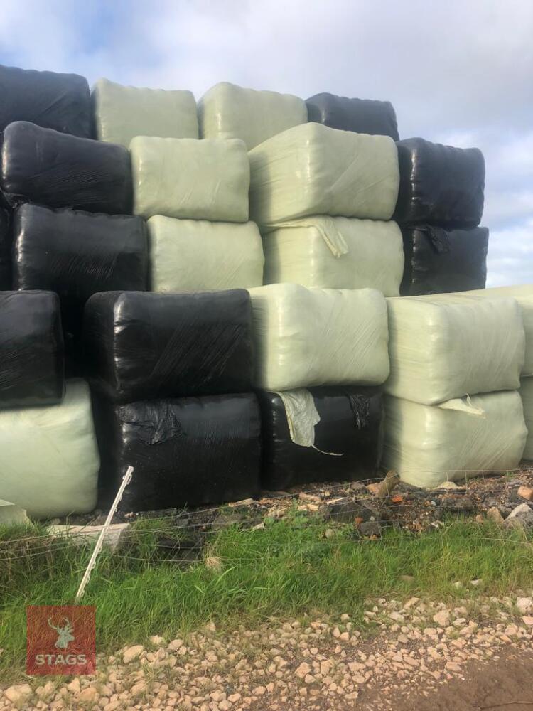 50 WRAPPED SQUARE BALES OF SILAGE(BIDS PER BALE)