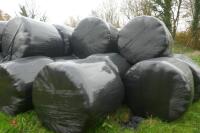 32 ROUND BALES OF SILAGE (BIDS PER BALE) - 3