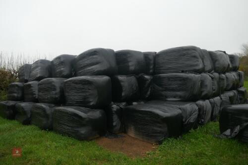 65 WRAPPED SQUARE BALES OF HAY(BIDS PER BALE)