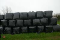 65 WRAPPED SQUARE BALES OF HAY(BIDS PER BALE) - 2