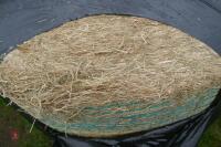 40 ROUND BALES OF WRAPPED HAY(BIDS PER BALE) - 4