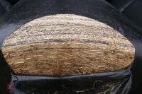 50 ROUND BALES OF HAYLAGE(BIDS PER BALE) - 3