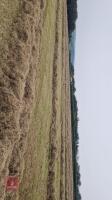 24 BALES OF MEADOW HAY(BIDS PER BALE) - 5