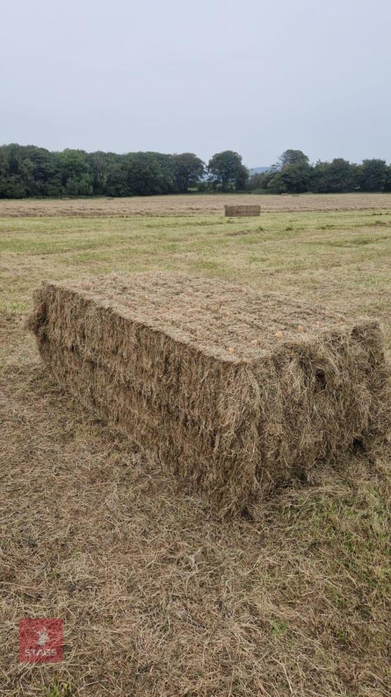 24 BALES OF MEADOW HAY(BIDS PER BALE)