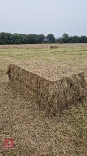 24 BALES OF MEADOW HAY(BIDS PER BALE)