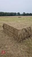 24 BALES OF MEADOW HAY(BIDS PER BALE) - 4