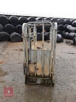 GALVANISED CATTLE CRUSH - 3