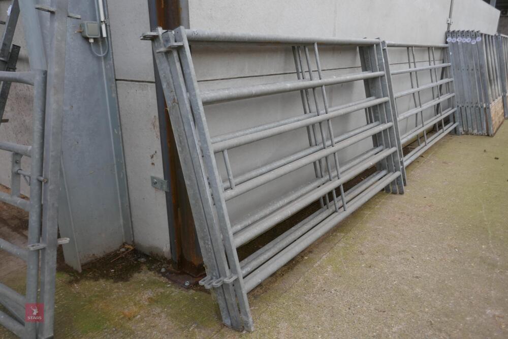 4 X 8' GALVANISED CATTLE HURDLES (155)