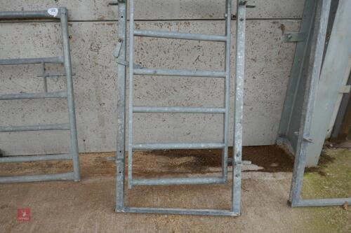 GALVANISED CATTLE RACE GATE (157)