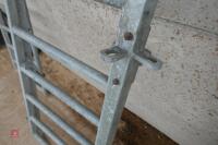 GALVANISED CATTLE RACE GATE (157) - 6