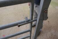 GALVANISED CATTLE RACE GATE (157) - 9