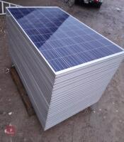 10 X 250W CANADIAN SOLAR PANELS - 4