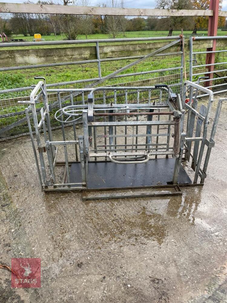 IAE GALVANISED SHEEP TURNOVER CRATE