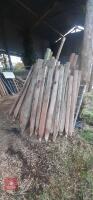 APPROX 50 FENCING STAKES - 2