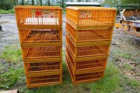 10 ORANGE POULTRY CRATES - 10