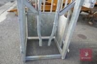 MORRIS GALV CATTLE HEAD YOKE IN FRAME - 8