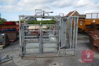 IAE GALV MANUAL SQUEEZE CATTLE CRUSH - 3