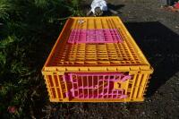 PLASTIC POULTRY CRATE - 2