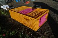 PLASTIC POULTRY CRATE - 3