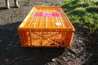 PLASTIC POULTRY CRATE - 5