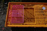 PLASTIC POULTRY CRATE - 8