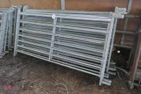 10 x 6' GALVANISED SHEEP HURDLES