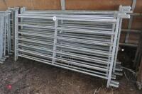 10 x 6' GALVANISED SHEEP HURDLES - 7