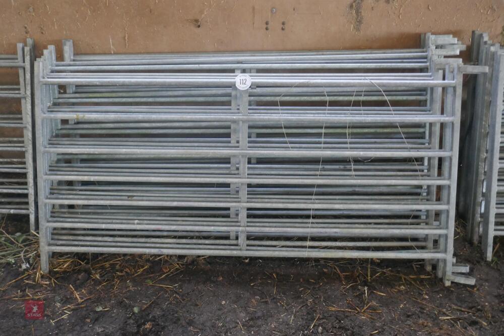 10 x 6' GALVANISED SHEEP HURDLES