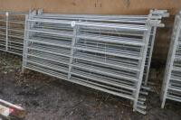 10 x 6' GALVANISED SHEEP HURDLES - 6