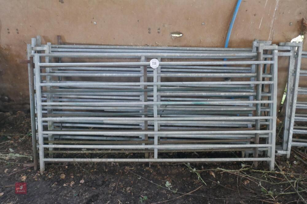 8 x 6' MIXED SHEEP HURDLES