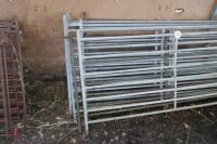 8 x 6' MIXED SHEEP HURDLES - 4