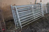 8 x 6' MIXED SHEEP HURDLES - 8