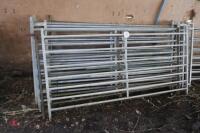 8 x 6' MIXED SHEEP HURDLES - 9