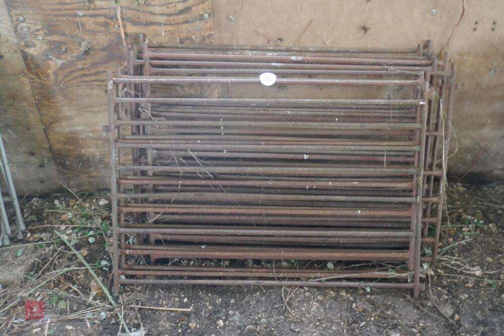 10 X 4'3'' METAL HURDLES