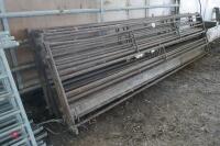 7 11'10'' METAL SHEEP FEEDER - 8