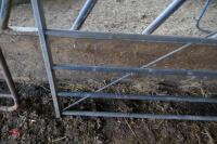 GALVANISED 5' GATE - 3