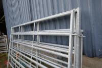 4 BATEMAN 10' GALVANISED CATTLE HURDLES - 6