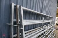 4 BATEMAN 10' GALVANISED CATTLE HURDLES - 11