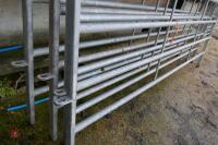 4 BATEMAN 10' GALVANISED CATTLE HURDLES - 12