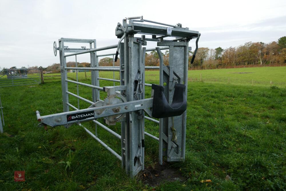 BATEMAN CATTLE HEAD YOKE AND RACE